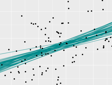 A scatterplot with multiple regression lines passing through points. These regression lines are not all over the place, they are clustered with similar but varyin intercepts and slopes.
