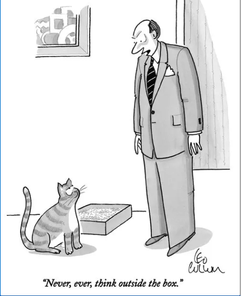 New Yorker style cartoon where a man is looking at a cat next to a litter box. The text reads "Never, ever, think outside the box"